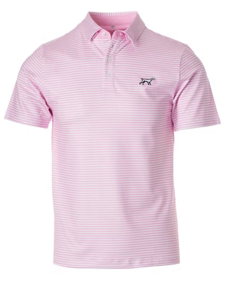 Fieldstone Marshall polo- Pink/ white