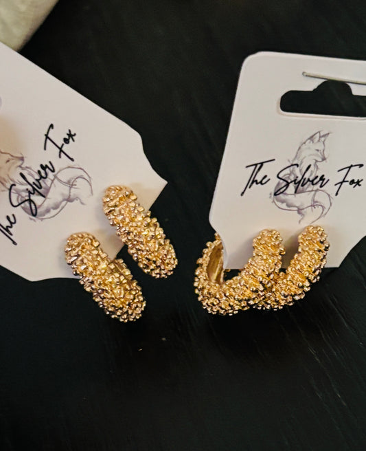 Darden Hoop Earrings