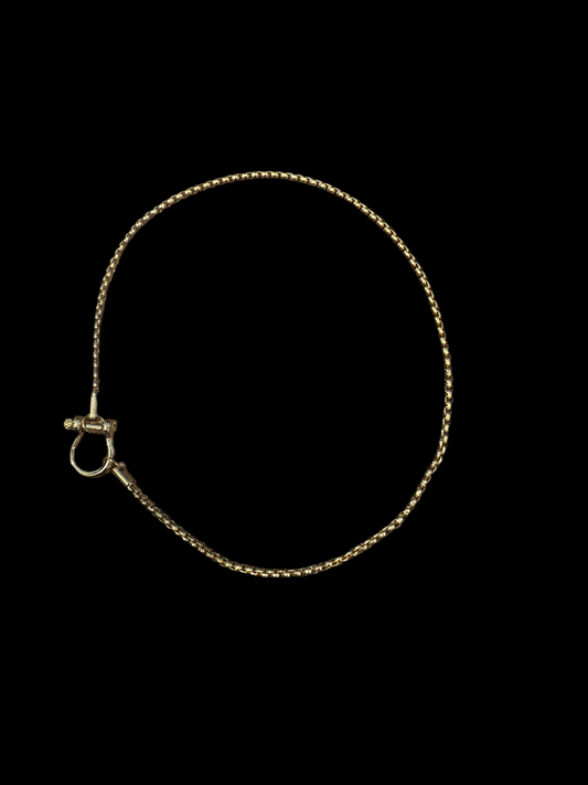 Gold locket chain