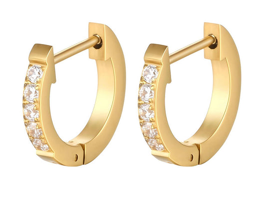 Flash of Gold Earrings